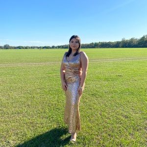 Revelry Dawson Sequin Dress Size 8 Petite Rose Gold